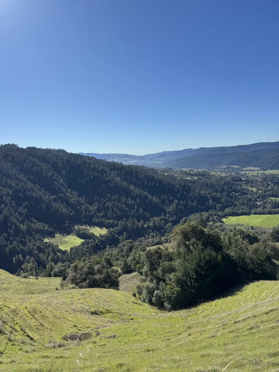 Forested hills and open land across Anderson Valley